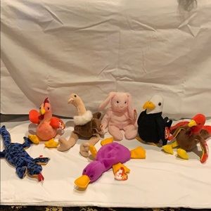 Beanie Babies with Tags